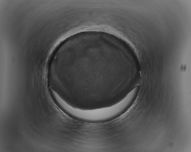 X0000098031506200804251402