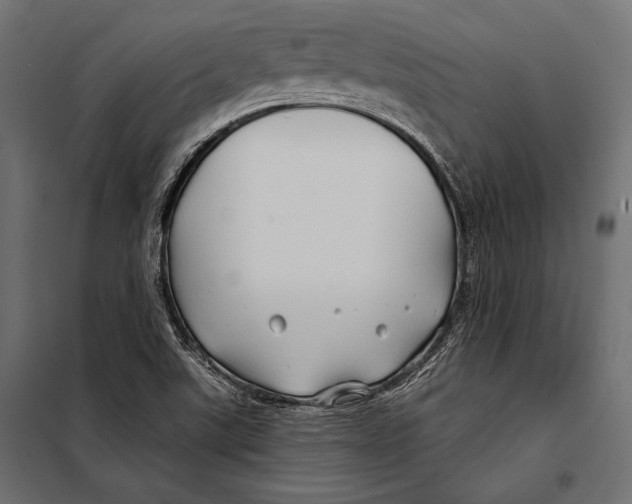 X0000098031507200804251402