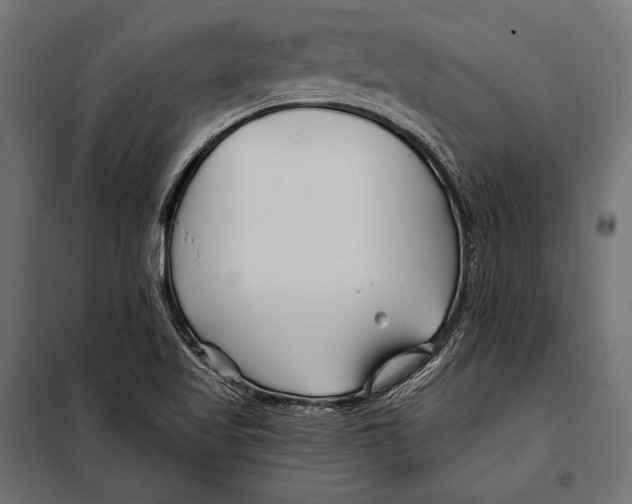 X0000098031509200804251402