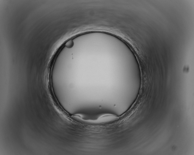 X0000098031511200804251402