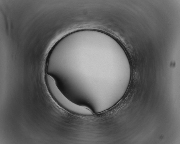 X0000098031512200804251402