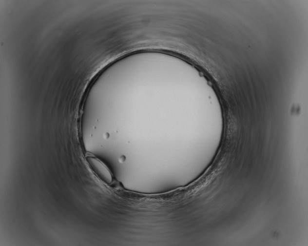 X0000098031513200804251402