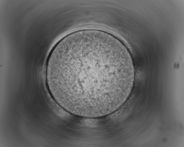 X0000098031514200804251402