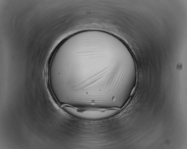 X0000098031515200804251402