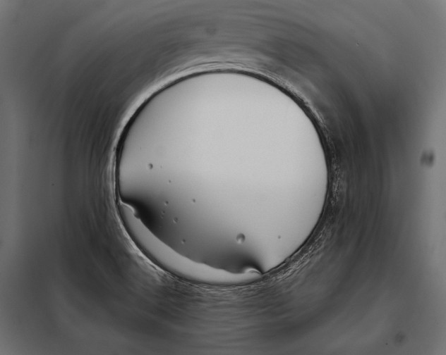 X0000098031516200804251402