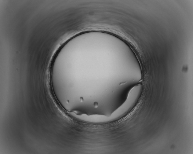 X0000098031517200804251402