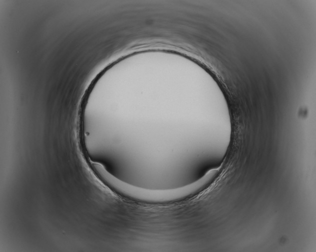 X0000098031518200804251402