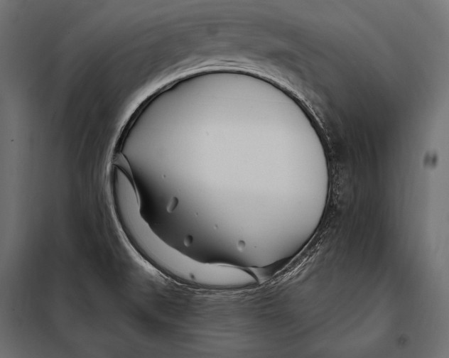 X0000098031519200804251402