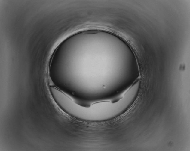 X0000098031520200804251403