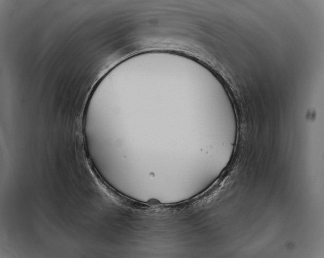 X0000098031521200804251403