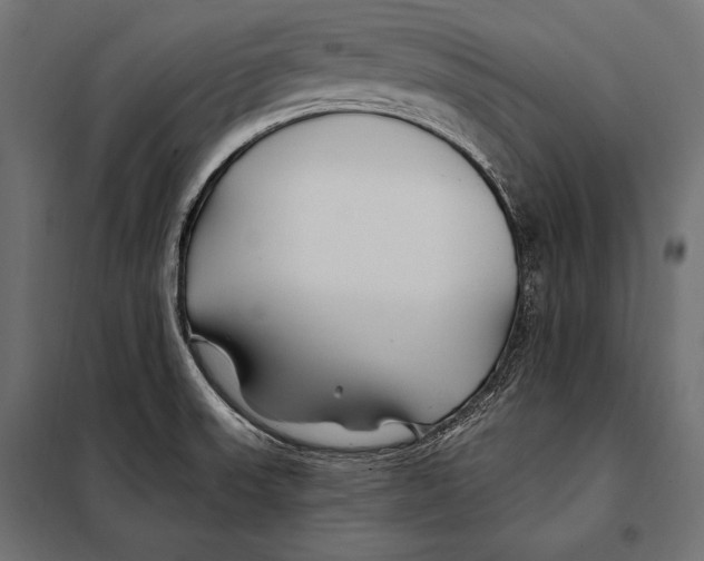 X0000098031523200804251403