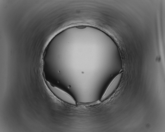 X0000098031524200804251403