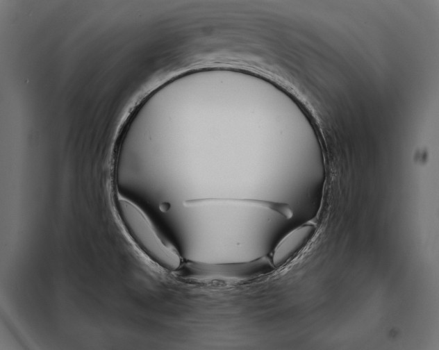 X0000098031525200804251403