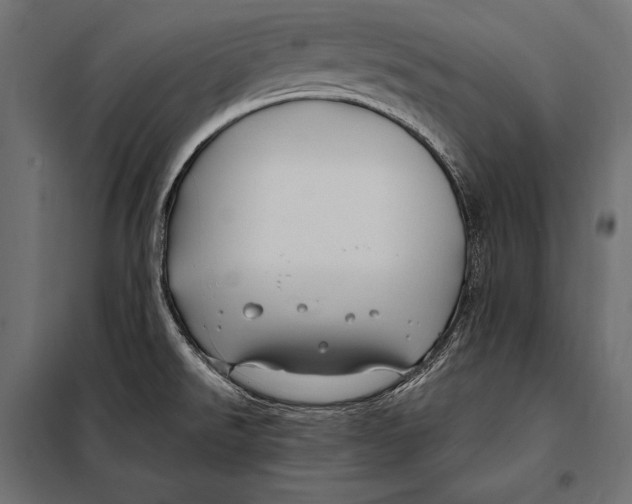 X0000098031526200804251403