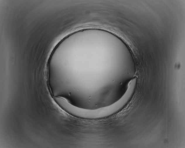 X0000098031527200804251403