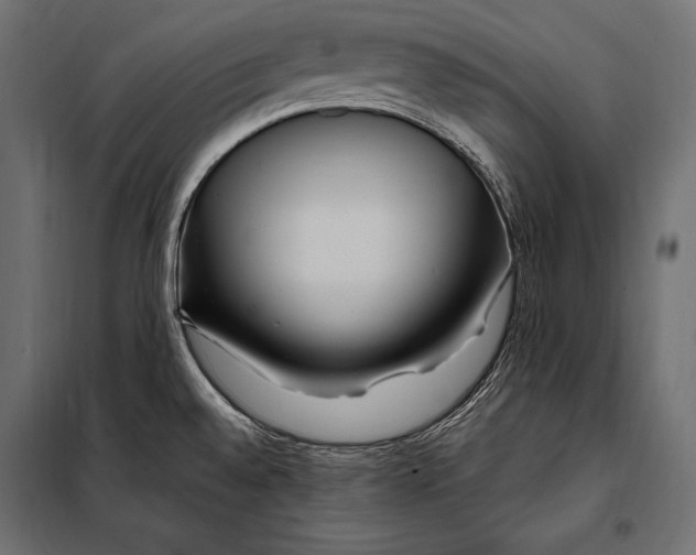 X0000098031528200804251403