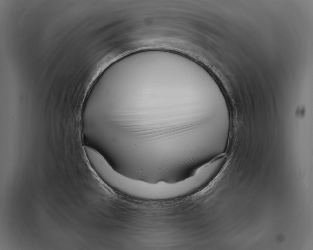 X0000098031529200804251403