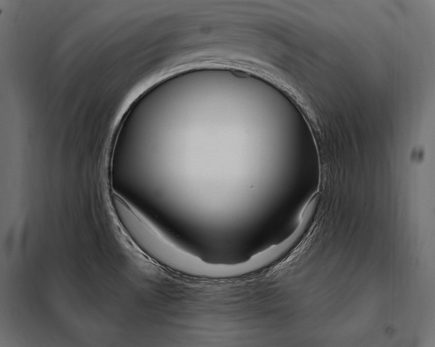 X0000098031530200804251403