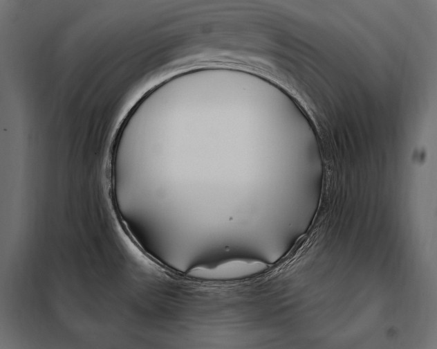 X0000098031531200804251403