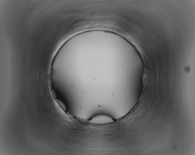 X0000098031532200804251403