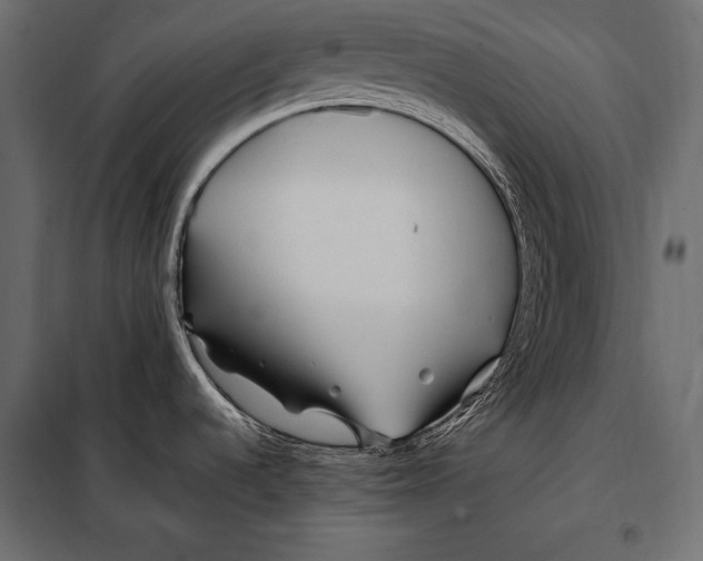 X0000098031536200804251403