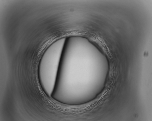 X0000098040001200803280804