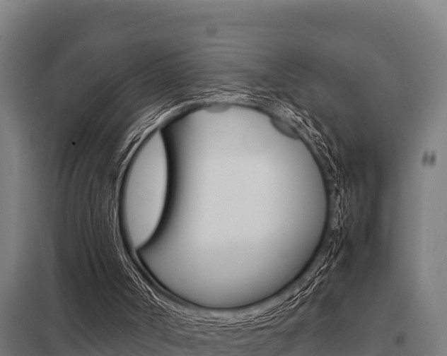 X0000098040002200803280804