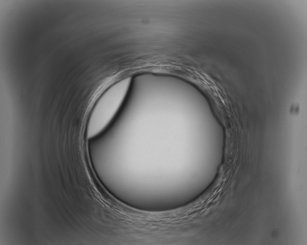 X0000098040003200803280804