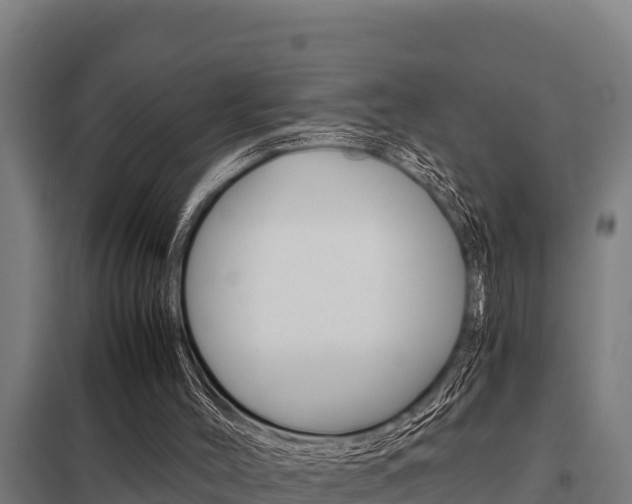 X0000098040004200803280804