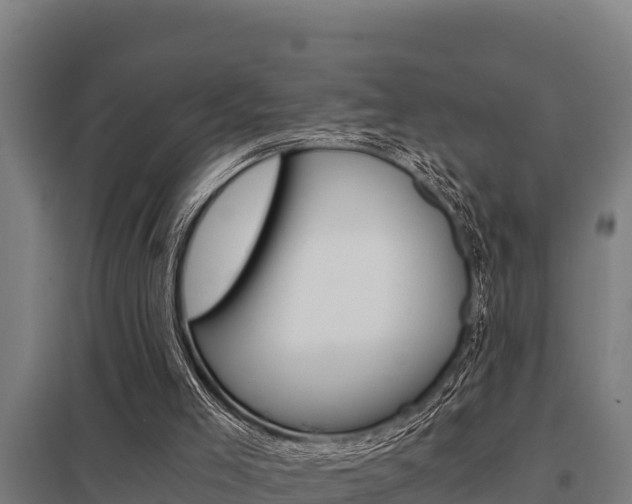X0000098040005200803280804