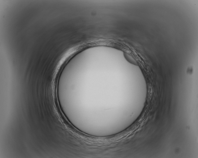 X0000098040006200803280804