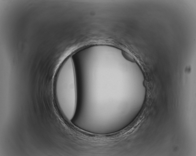 X0000098040008200803280804