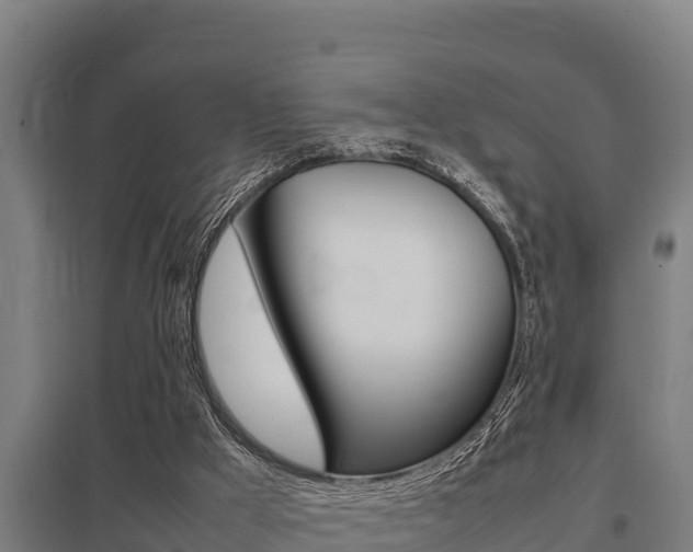 X0000098040009200803280804