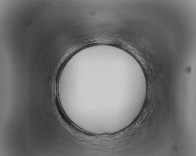 X0000098040011200803280804