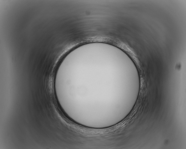 X0000098040012200803280804