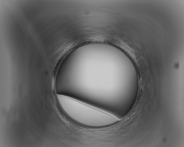 X0000098040013200803280804