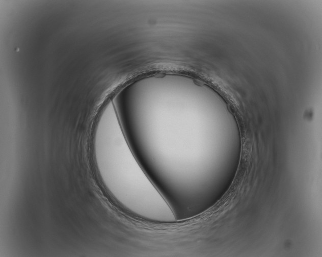 X0000098040015200803280804