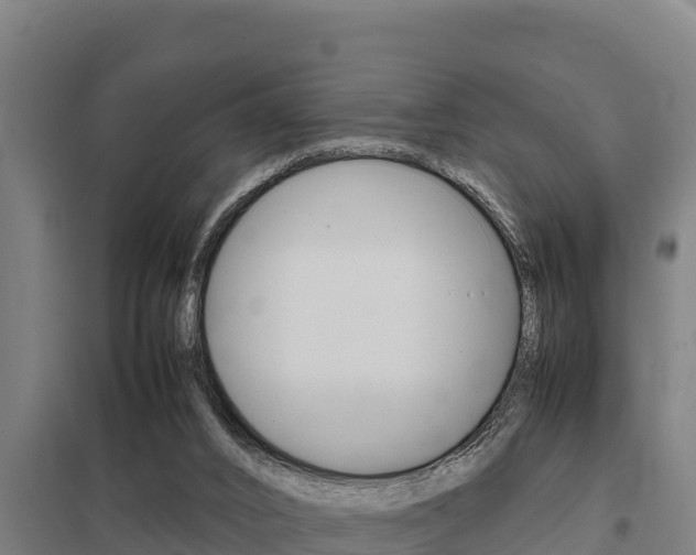 X0000098040016200803280804