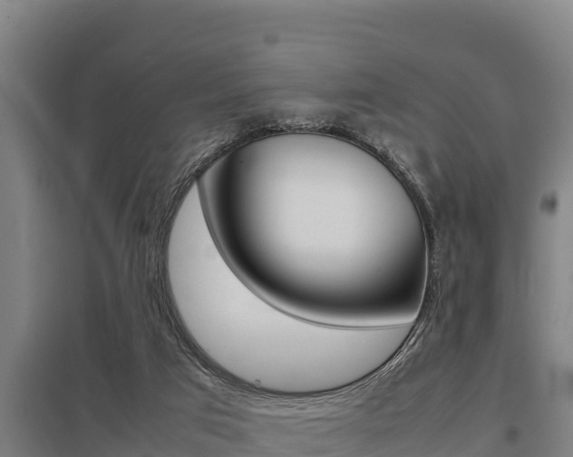 X0000098040017200803280804