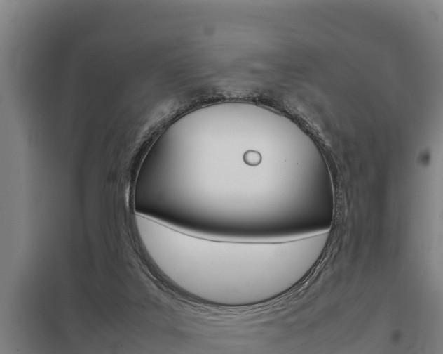 X0000098040019200803280804
