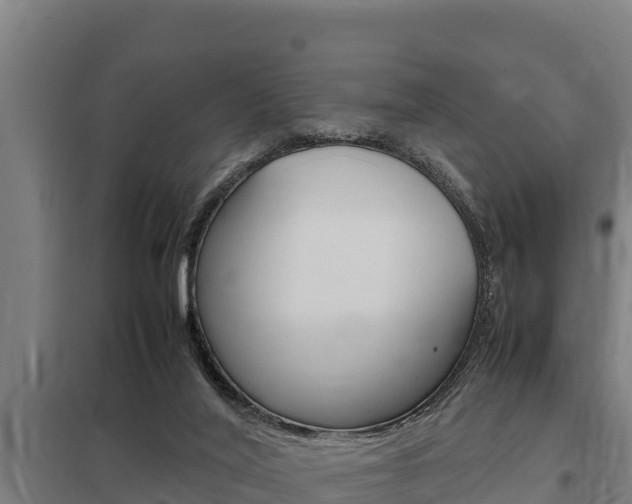X0000098040020200803280804