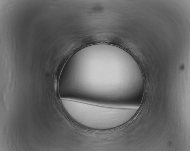 X0000098040021200803280804