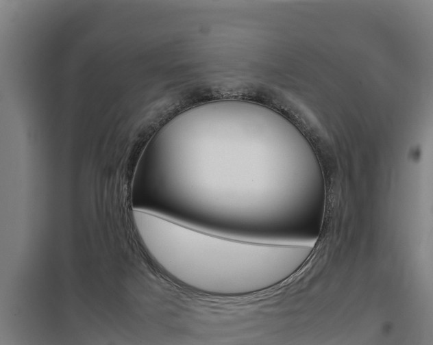 X0000098040025200803280804