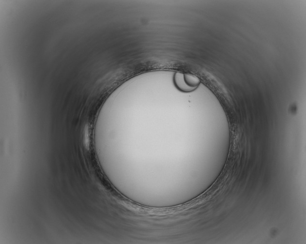 X0000098040026200803280804
