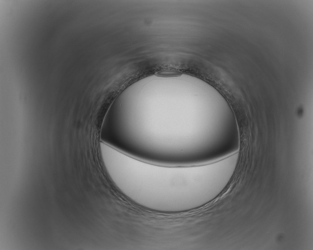 X0000098040029200803280804