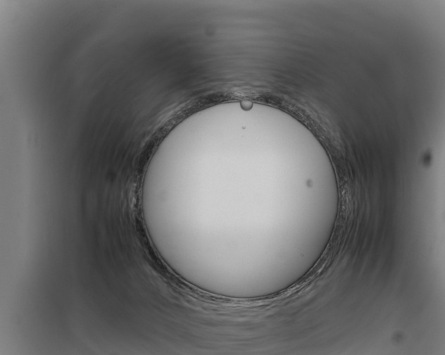X0000098040032200803280804