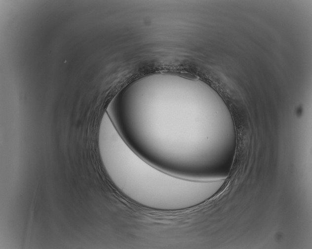 X0000098040033200803280804