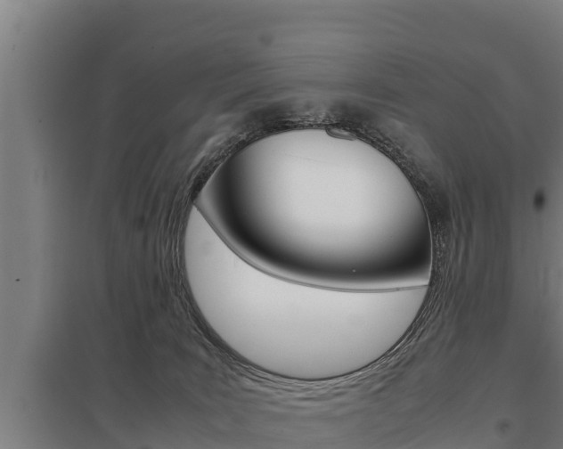 X0000098040035200803280804