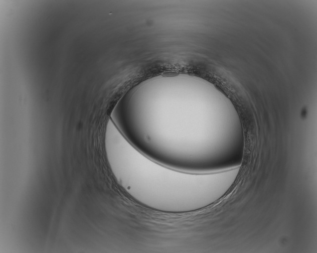 X0000098040037200803280804