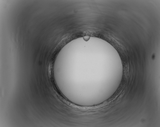 X0000098040038200803280804